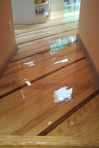 Hard Wood Installation